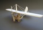 Monoplane ″LEA″ - papírový model