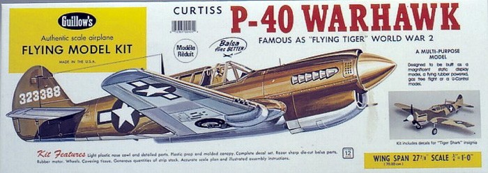 View Product - Curtiss P-40 Warhawk 711 mm laser-carved