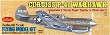 Curtiss P-40 Warhawk (419mm)