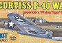 Curtiss P-40 Warhawk 419 mm