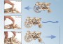 Wooden 3D Mechanical Puzzle - Tractor