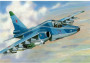 1:72 Suchoj Su-39 Frogfoot