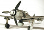 1:48 Focke-Wulf Fw190 F-8/9 with Bomb Loading Set