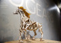 Dřevěné 3D mechanické puzzle – kůň