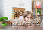 Wooden 3D Mechanical Puzzle – Royal Сarriage