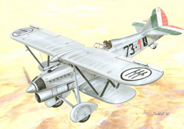 1:72 Fiat CR.32 Chirri, Italy