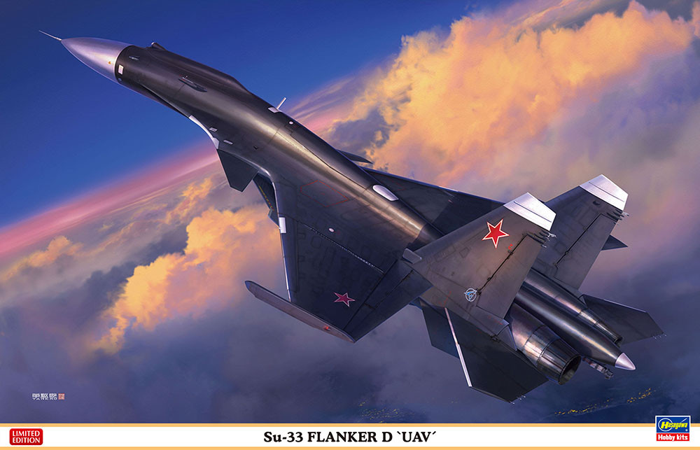 Hasegawa 1:72 SU-33 Flanker D ″UAV″ 02313