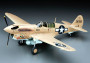 1:48 P-40N Warhawk