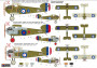 1:72 Sopwith Dolphin ″Special Markings″