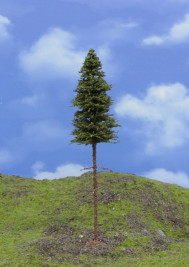 Modelářský strom – smrk s kmenem TOP, výška 14–15 cm