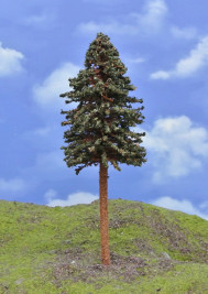 Modelářský strom – borovice s kmenem, výška 18–20 cm