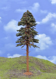 Modelářský strom – borovice s kmenem TOP, výška 18–20 cm