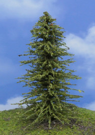 Modelářský strom – modřín zelený, výška 13–14 cm