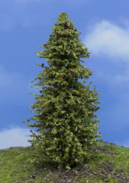 Modelářský strom – modřín zelený, výška 16–18 cm