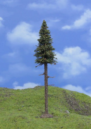 Modelářský strom – smrk s kmenem TOP, výška 18–20 cm