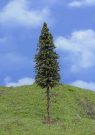 Modelářský strom – smrk s kmenem TOP, výška 12–14 cm