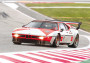 1:24 B.M.W. M1 Procar