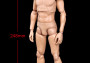 1:6 DID Scale All New Advanced Body (Slim Version)