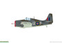 1:48 FM-2 Wilder Cat (Limited Edition)