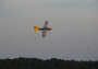 P-51D Mustang EPP (bílý)
