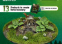 Basing Sets – Forest