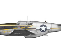 1:72 North American F-6C Mustang