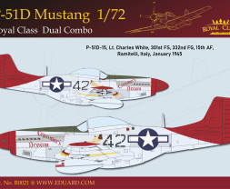 1:72 North American P-51D Mustang (Dual Combo, Limited Edition)