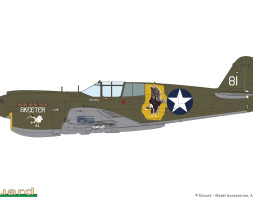 1:48 Curtiss P-40E Warhawk (Dual Combo Royal Class)