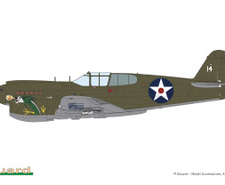 1:48 Curtiss P-40E Warhawk (Dual Combo Royal Class)