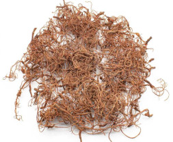 Diorama Tree Roots – kořeny stromů