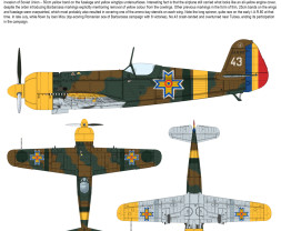1:72 IAR.80 Early and IAR.80A vol.2, Romanian Barbarossa 1941 (2-in-1)