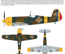 1:72 IAR.80 Early and IAR.80A vol.2, Romanian Barbarossa 1941 (2-in-1)