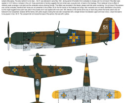 1:72 IAR.80 Early and IAR.80A vol.2, Romanian Barbarossa 1941 (2-in-1)