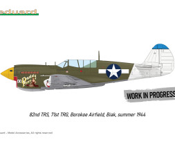 1:48 Curtiss P-40N Warhawk (Royal Class, Dual Combo)