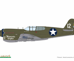 1:48 P-40E Warhawk (WEEKEND edition)