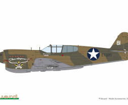 1:48 P-40E Warhawk (WEEKEND edition)
