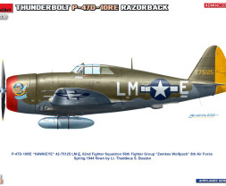 1:48 Republic P-47D-10RE Razorback (Advanced Kit)
