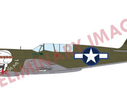 1:48 Curtiss P-40N Warhawk (ProfiPACK edition)