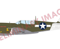 1:48 Curtiss P-40N Warhawk (ProfiPACK edition)