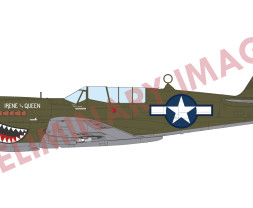 1:48 Curtiss P-40N Warhawk (ProfiPACK edition)