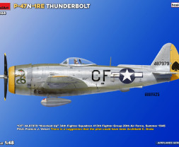 1:48 Republic P-47N-1RE Thunderbolt (basic kit)