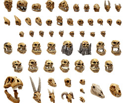 3D Printed Set Battlefield Creature Skulls – 3D tištěné lebky monster (300 ks)