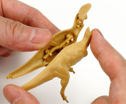 1:35 Fukuiraptor