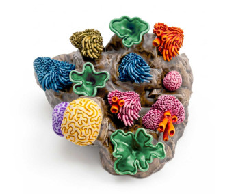 Coral Reef Plants 1:48-1:35 3D printed set - 12x 3D tištěný korál